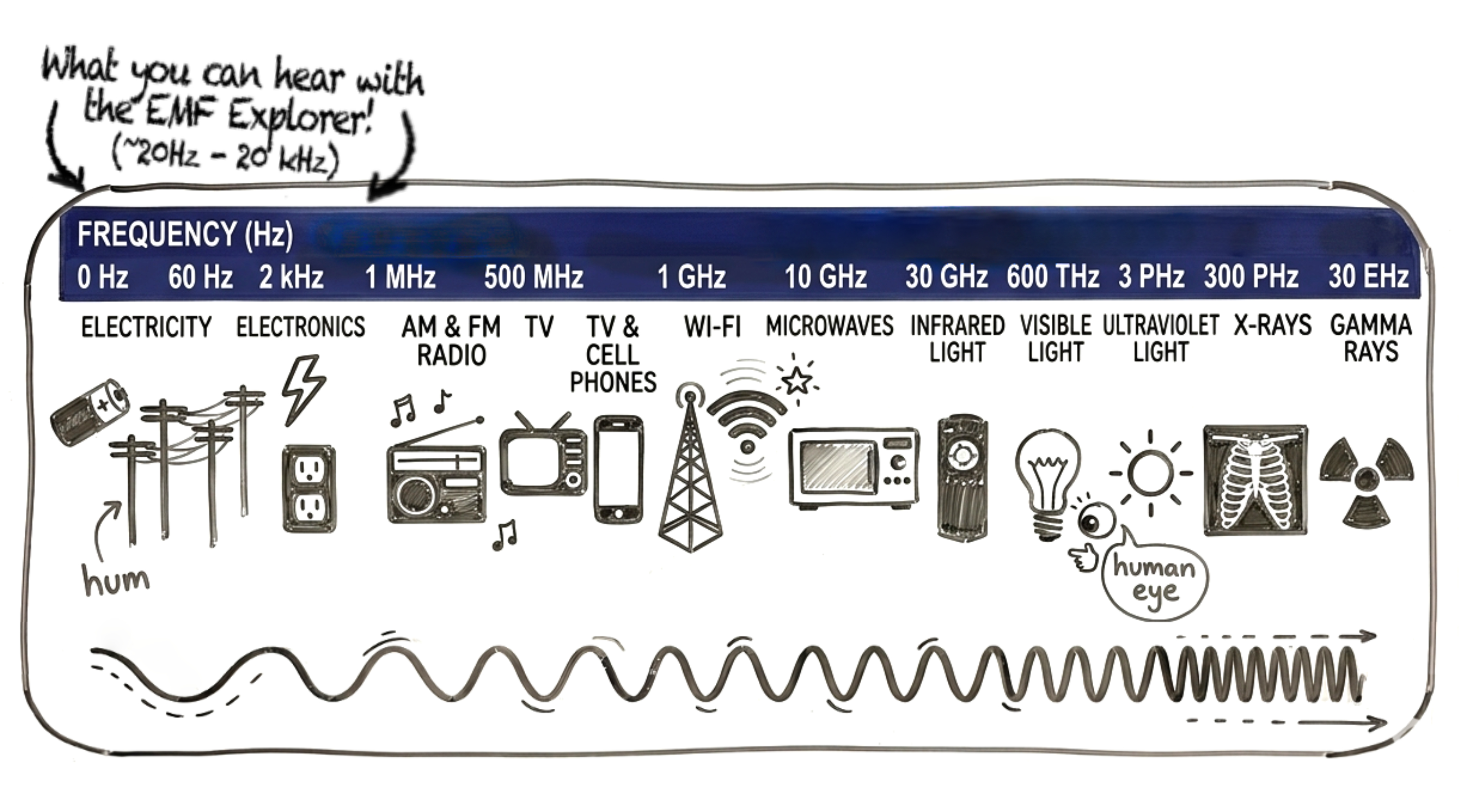 Electromagnetic Spectrum Chart
